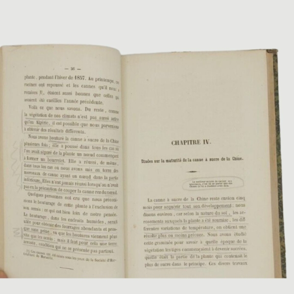 Sicard. La canna da zucchero della Cina. I Colonnese libri. www.colonneselibri.it