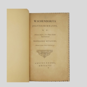 Botanica. Burman Wachendorfia. I Colonnese libri. www.colonnese.it